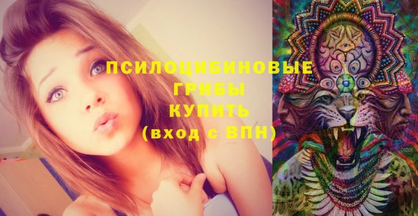 трава Осинники