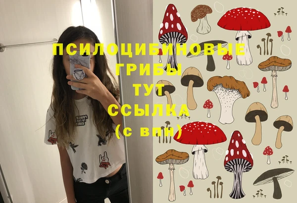 трава Осинники